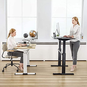 FENGE Electric Stand Up Desk 43x24 Inches Height Adjustable Standing Desk Home Office Table Computer Desk Light Wood ED-S48106WO