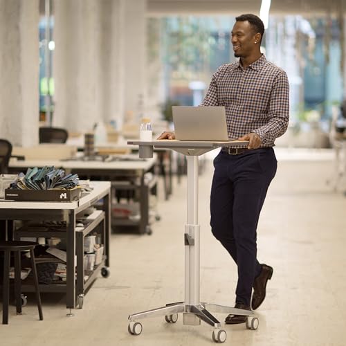Ergotron Mobile Standing Desk - Adjustable Height Small Rolling Laptop Computer Sit Stand Desk - Maple