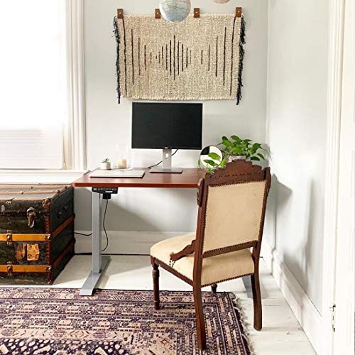 Flexispot EN1 Primo Electric Standing Desk Adjustable Height Desk for Home Office Computer Workstation, Whole Piece Walnut Desktop with Gray Leg, 48x30INCH