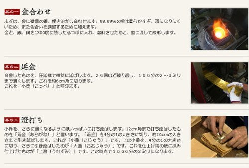 Platinum Maki-e fountain pen Kanazawa foil goldfish fine print (F) PTL-15000H # 24-2 (japan import)