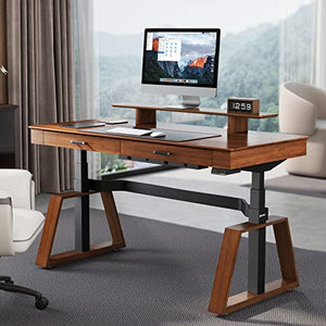 EUREKA ERGONOMIC 63" Executive Standing Desk with Drawers and Monitor Stand, Walnut