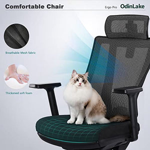 Odinlake Ergonomic Mesh High Back Office Chair with Adjustable Seat Depth, Lumbar Support, Footrest, Headrest, PU Wheels - Ergo Pro 633