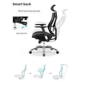 Lan Xin-JP Ergonomic Office Chair E-Sports Seat Multi-Function Adjustment