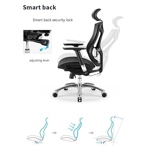 Lan Xin-JP Ergonomic Office Chair E-Sports Seat Multi-Function Adjustment