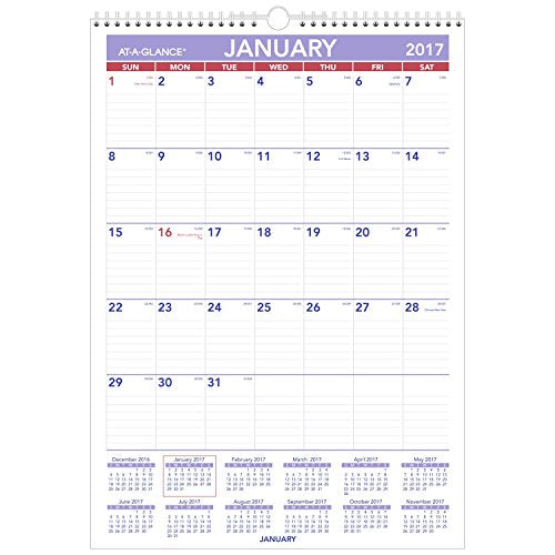 AT-A-GLANCE Wall Calendar 2017, Monthly, 12 x 17", Ruled, Wirebound (PM2-28)