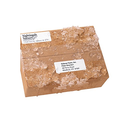 Avery Weatherproof Mailing Labels, TrueBlock Technology, Laser Printers, 1" x 2-5/8", Bulk Pack of 15,000 (95520)
