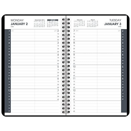 AT-A-GLANCE Appointment Book / Planner 2017, Daily, 4-7/8 x 8", Black (70-800-05)