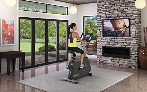 Life Fitness C1 Go Upright Lifecycle