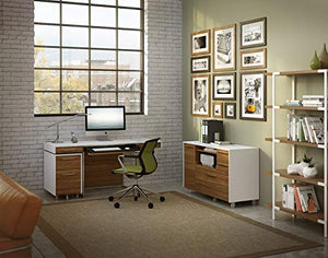 BDI Furniture 6307 SW/WL Format File Cabinet, Natural Walnut