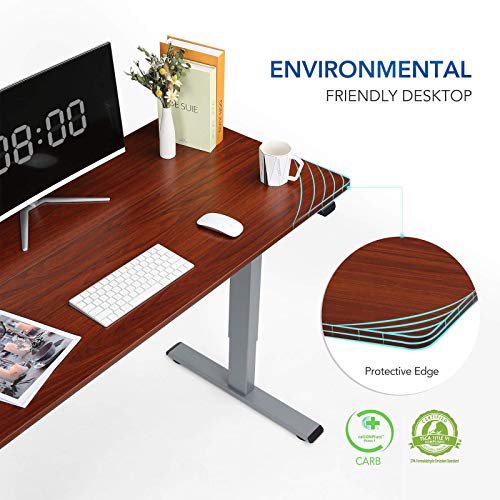 Flexispot Standing Desk 48 x 24 Inches Height Adjustable Desk Electric Sit Stand Desk Home Office Desks Vici (Gray Frame + Mahogany Top)