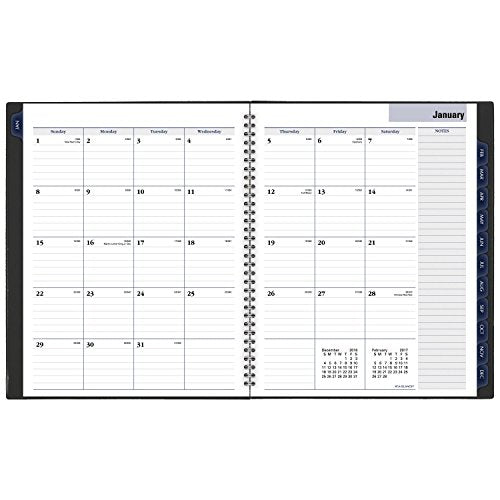 DayMinder Monthly Planner 2017, 8-1/2 x 11", Traditional, Color Selected For You May Vary (GC470-10)