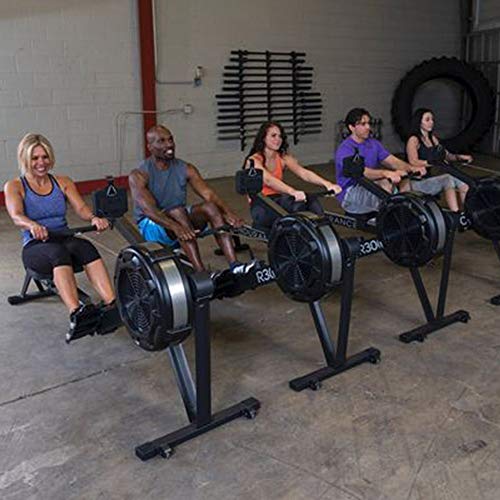 Body-Solid R300 Endurance Rower for Total Body Workout, Home and Commercial Gym