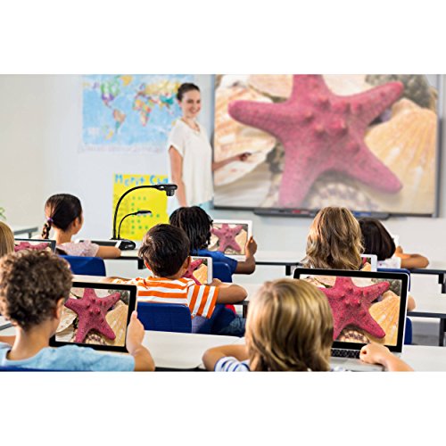 Lumens PC193 High-Definition Document Camera, Full HD 1080p Output Resolution with 30fps, 20x Variable Zoom Ratio, VGA and HDMI Input/Output, Built-In Microphone, Highly Flexible Gooseneck, Black
