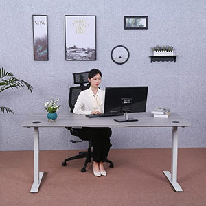 ApexDesk Elite Pro Series Electric Height Adjustable Standing Desk, 71", Grey Top/White Frame