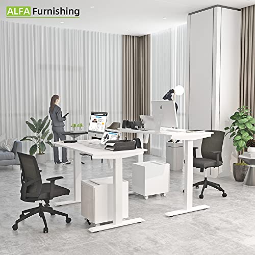ALFA Furnishing 55"x 28" Electric Adjustable Height Desk for Home Office, Standing Desk Sit Stand Desk with 2 Pre-Set Memory (55x28, White Table Top+ White Frame)