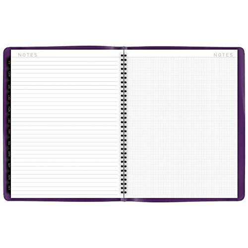 AT-A-GLANCE Weekly / Monthly Appointment Book / Planner 2017, 8-1/4 x 10-7/8", Contempo Fashion, Color Selected For You May Vary (70-940X-00)