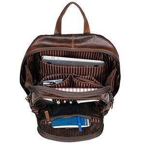 Voyager Professional Backpack #7516 (Brown)