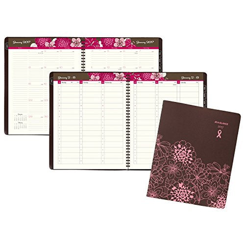 AT-A-GLANCE Weekly / Monthly Appointment Book / Planner 2017, Sorbet, 8-1/4 x 10-7/8" (794-905)