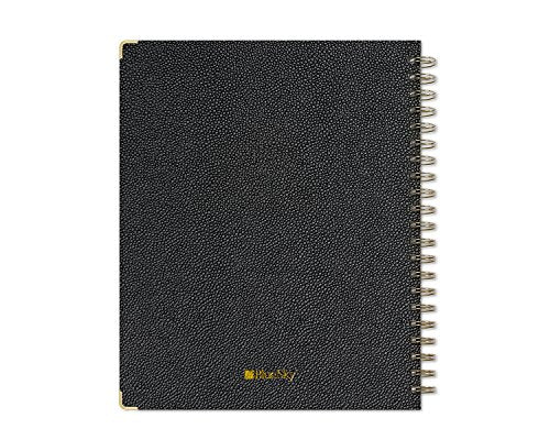 Blue Sky 2019 Weekly & Monthly Planner, Hardcover, Twin-Wire Binding, 8.5" x 11", Carerra