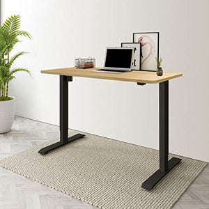 Flexispot Standing Desk Electric Small Desk Height Adjustable Desk Sit Stand Desk Home Office Table (42x24 Black+Maple)