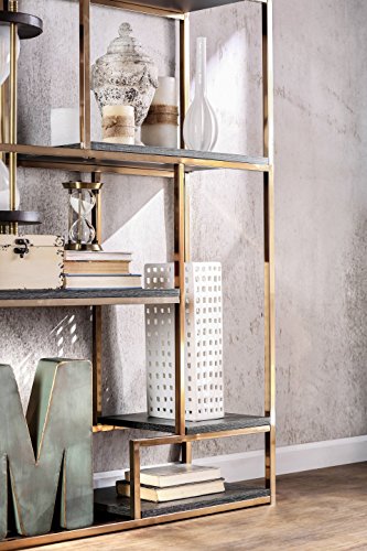 24/7 Shop at Home 247SHOPATHOME IDF-AC6264CPN Palmyra Bookcase, Champagne