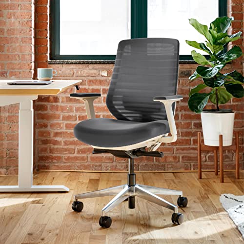 Branch Ergonomic Chair with Adjustable Lumbar Support, Breathable Mesh Backrest, Smooth Wheels - Graphite/White
