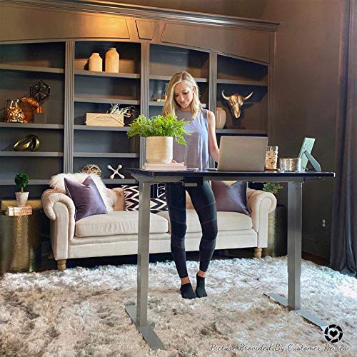 Flexispot Electric Height Adjustable Desk with Desktop, 48 x 30 Inches, Standing Desk Stand Up Desk Workstation Classic (Silver Frame + 48 in Black Top)