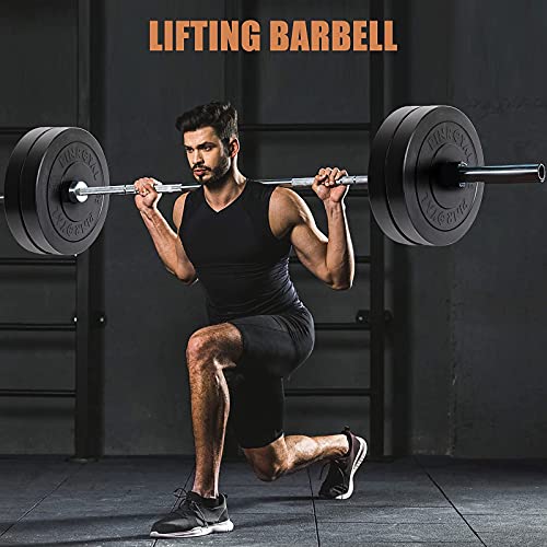 PINROYAL Bumper Plates 10LB 45LB Set, Olympic Weight Plates with 2 inch, Rubber Barbell Weight to Protect Floor, Smooth Strength Training Plates to Protect Bar from Scratches, Pair
