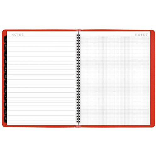 AT-A-GLANCE Weekly / Monthly Appointment Book / Planner 2017, 8-1/4 x 10-7/8", Contempo Fashion, Color Selected For You May Vary (70-940X-00)
