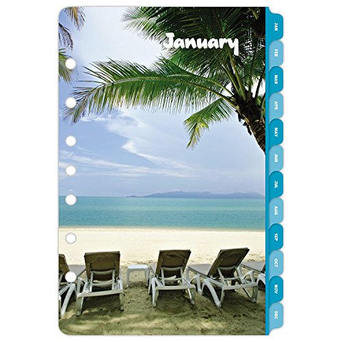Day-Timer Daily Planner Refill 2017, Two Page Per Day, Loose Leaf, 5-7/16 x 8-1/2", Desk Size, Coastlines (13180)