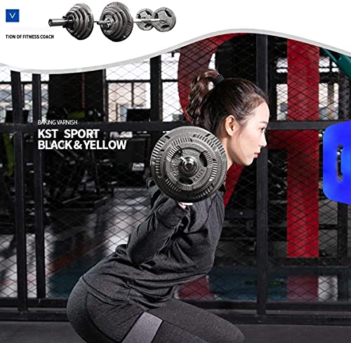 HXFENA Barbell Weight Bar, 47In Straight Weight Lifting Barbell Bar, Home Fitness Strength Training Equipment,120Cm