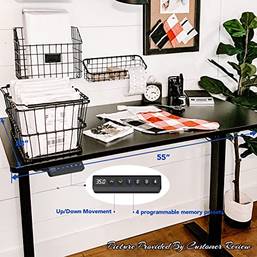 FLEXISPOT Electric Height Adjustable Standing Desk 55 x 28 Inches - Black Frame + Black Top