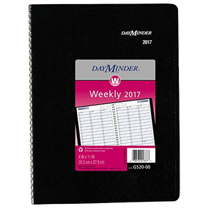 DayMinder Weekly Planner / Appointment Book 2017, Wirebound, 8 x 11", Black (G520-00)