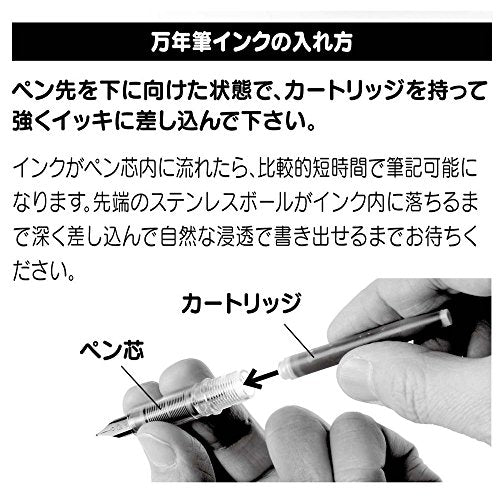 Platinum Preppy Fountain Pen 0.3 Black
