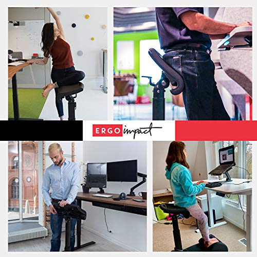 LeanRite Ergonomic Office Chair for Standing Desk Bundle with Accessories - 2024 Version