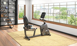 Life Fitness RS3TC-XX00-0106 Rs3 Recumbent with Track Connect Console