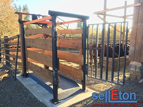 SellEton SL-929 Livestock & Cattle Alleyway Scale - Animal Weighing Equipment for Cows, Cattle, Horses, Goats, Sheep, Pigs - - 5000 lbs x 1 lb