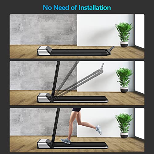 GYMAX Folding Treadmill, Installation-Free Walking/Running Pad with LCD Monitor & Removable Phone Holder, Quiet Shock Absorbing Running Machine for Home Gym Small Space Workout Fitness