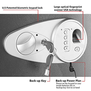 SECUSTAR Security Biometric Fingerprint Safe, Steel Lock Box Safe High-End Closet Safe for Home / Office / Hotel, Secure Handgun, Ammo,Documents, Jewelry, Medicine,Cigar and More Valuables.