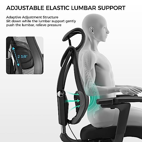 EUREKA ERGONOMIC Mesh Office Chair with 5D Adjustable Armrest and Wire Control Lumbar Support