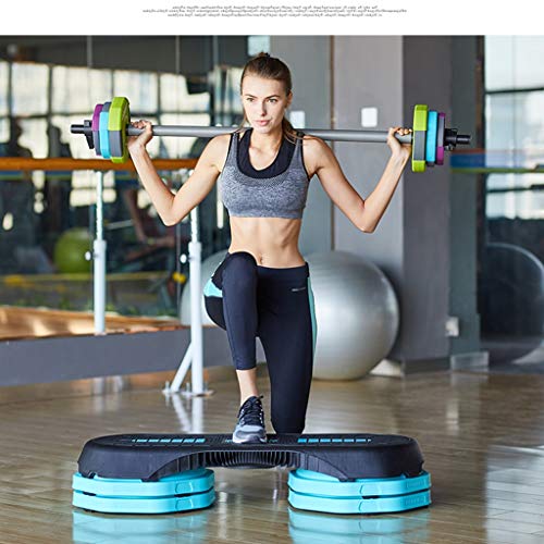 Barbell Plates 44 lbs Weight Adjustable Barbells Barbell Set with 1.2 Meters Connector for Home Gym Fitness Lifting Exercise Workout Strength Training Equipment