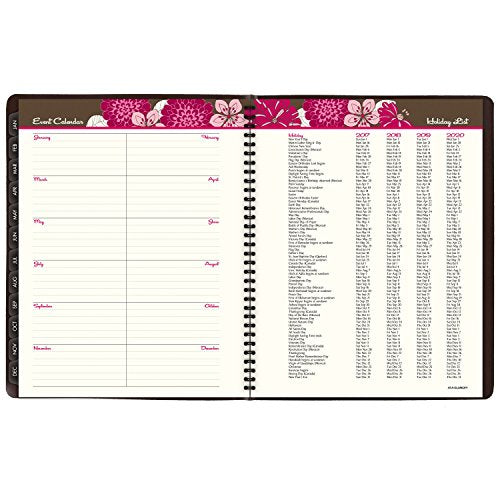 AT-A-GLANCE Weekly / Monthly Appointment Book / Planner 2017, Sorbet, 8-1/4 x 10-7/8" (794-905)
