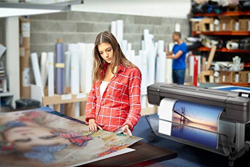 HP DesignJet Z9⁺ Dual Roll 44-In Postscript Printer (Renewed)