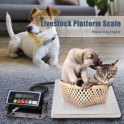 Digital Stainless Steel Platform Postal Shipping Scale 130lbs