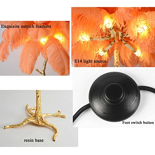 KOHARA Ostrich Feather Floor Lamp - Three Color Dimmable Nordic Standing Lamp
