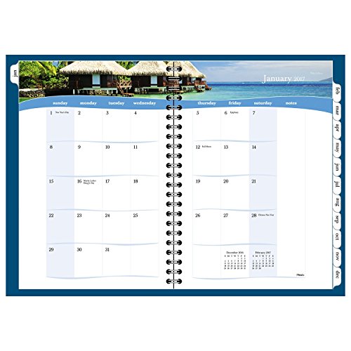Mead Weekly / Monthly Planner / Appointment Book 2017, 5-1/2 x 8-1/2", Color Selected For You May Vary (TLD385-10)