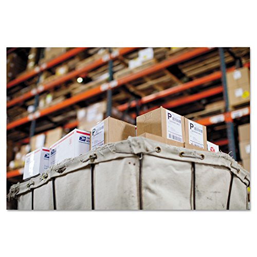 DYMO LabelWriter 4XL 4 4/25-inch Labels 53 Labels/Minute 7 3/10w x 7 4/5d x 5 1/2h DYM1755120