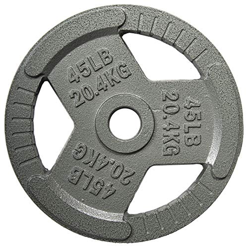 HULKFIT 2-inch Iron Plate for Strength Training, Weightlifting and Crossfit (45 Pounds - Silver)