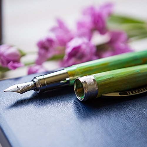 Visconti Van Gogh Irises Fine Nib Fountain Pen