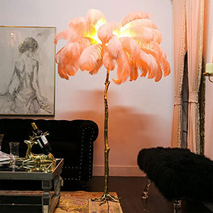 YAsao Ostrich Natural Feather LED Floor Lamp (Orange, 170CM)